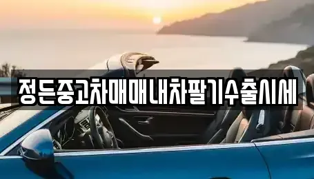 강원특별자치도 원주시 명륜동 중고차 전문 정든중고차매매내차팔기수출시세