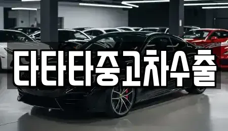 강원특별자치도 원주시 명륜동 중고차매매 전문 타타타중고차수출