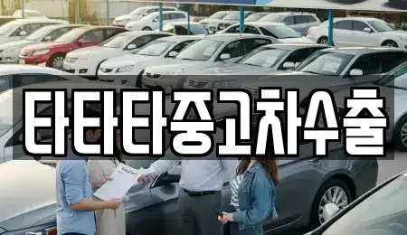 강원특별자치도 원주시 우산동 중고차매매 전문 타타타중고차수출