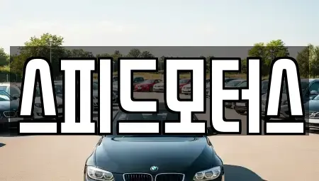 강원특별자치도 원주시 지정면 중고차,렌트카,중고차매입,중고차매매,장기렌트카,단기렌트카