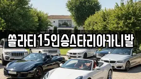 강원특별자치도 춘천시 신동 렌트카 전문 쏠라티15인승스타리아카니발