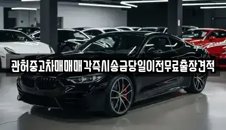 강원특별자치도 춘천시 신동 중고차매매 전문 관허중고차매매매각즉시송금당일이전무료출장견적