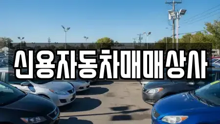 강원특별자치도 홍천군 영귀미면 중고차매매 전문 신용자동차매매상사