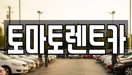 경기 가평군 북면 렌트카 전문 토마토렌트카