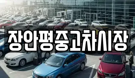 경기 가평군 북면 중고차매매 전문 장안평중고차시장