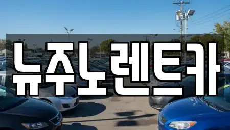 경기 고양시 일산동구 산황동 단기렌트카 전문 뉴주노렌트카