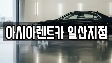 경기 고양시 일산동구 산황동 렌트카 전문 아시아렌트카 일산지점