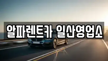 경기 고양시 일산동구 산황동 렌트카 전문 알파렌트카 일산영업소