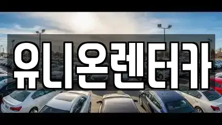 경기 고양시 일산동구 산황동 장기렌트카 전문 유니온렌터카