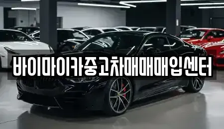 경기 고양시 일산동구 산황동 중고차 전문 바이마이카중고차매매매입센터