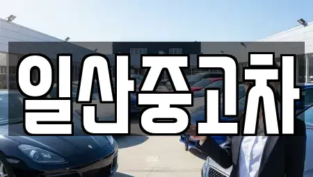 경기 고양시 일산동구 산황동 중고차 전문 일산중고차
