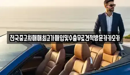 경기 고양시 일산동구 산황동 중고차 전문 전국중고차매매최고가매입및수출무료견적방문카카오카
