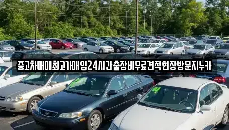 경기 고양시 일산동구 산황동 중고차 전문 중고차매매최고가매입24시간출장비무료견적현장방문지누카