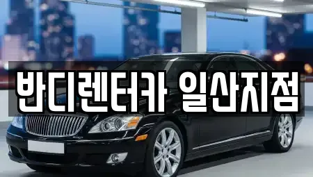 경기 고양시 일산서구 렌트카,단기렌트카,장기렌트카,중고차,중고차매매,중고차매입