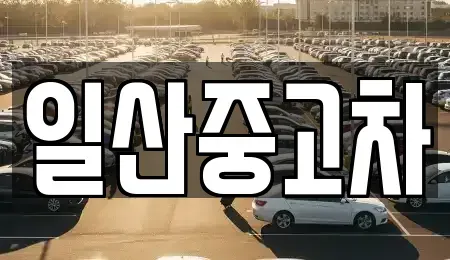 경기 고양시 일산서구 중고차 전문 일산중고차