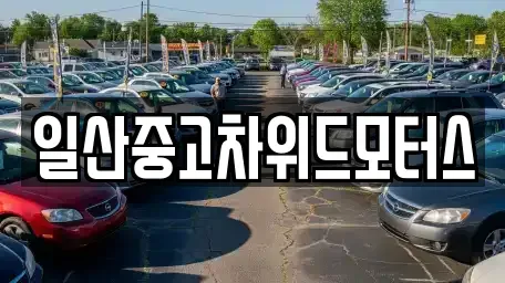 경기 고양시 일산서구 중고차 전문 일산중고차위드모터스