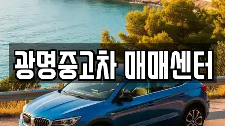 경기 광명시 소하동 중고차 전문 광명중고차 매매센터