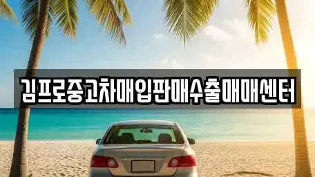 경기 광명시 소하동 중고차 전문 김프로중고차매입판매수출매매센터
