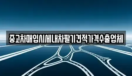 경기 광명시 소하동 중고차 전문 중고차매입시세내차팔기견적가격수출업체