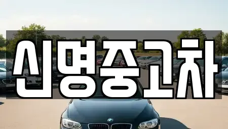 경기 광명시 중고차매매 전문 신명중고차