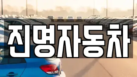 경기 광명시 중고차매매 전문 진명자동차