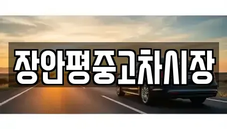 경기 광주시 목동 중고차매매 전문 장안평중고차시장