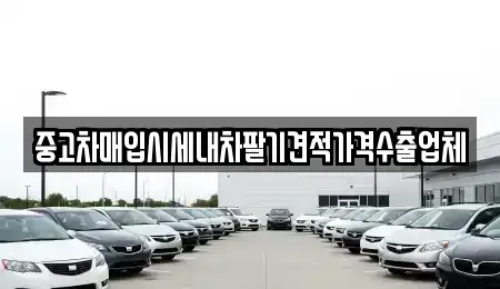 경기 광주시 목동 중고차매입 전문 중고차매입시세내차팔기견적가격수출업체