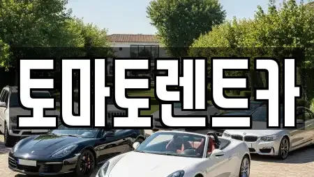 경기 광주시 회덕동 렌트카 전문 토마토렌트카