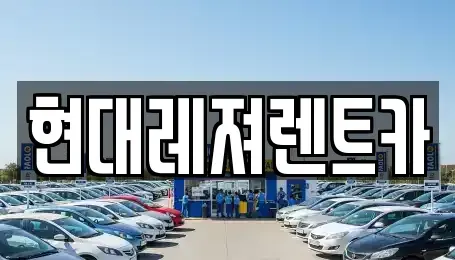 경기 광주시 회덕동 렌트카 전문 현대레져렌트카