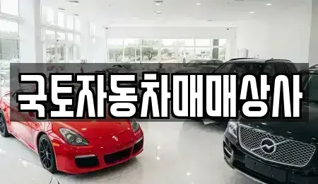 경기 광주시 회덕동 중고차매매 전문 국토자동차매매상사