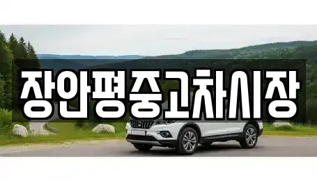 경기 광주시 회덕동 중고차매매 전문 장안평중고차시장