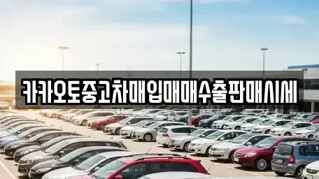 경기 광주시 회덕동 중고차매입 전문 카카오토중고차매입매매수출판매시세