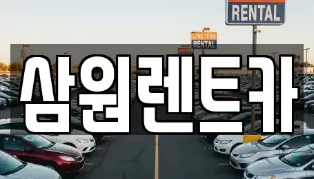 경기 구리시 토평동 렌트카 전문 삼원렌트카