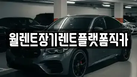 경기 구리시 토평동 장기렌트카 전문 월렌트장기렌트플랫폼직카