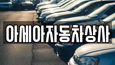 경기 구리시 토평동 중고차매매 전문 아세아자동차상사