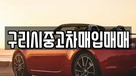 경기 구리시 토평동 단기렌트카,중고차매입,중고차매매,중고차,렌트카,장기렌트카