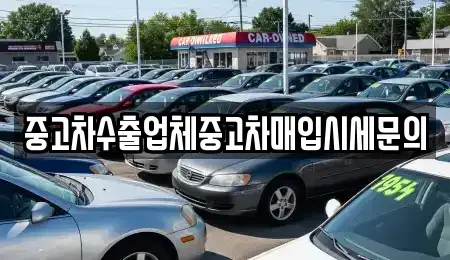 경기 군포시 당동 중고차매입 전문 중고차수출업체중고차매입시세문의