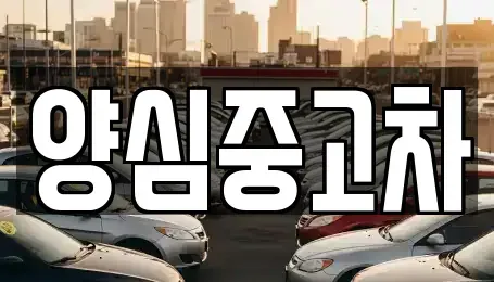 경기 남양주시 오남읍 중고차매매 전문 양심중고차