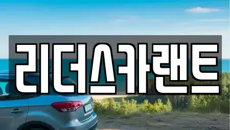 경기 남양주시 와부읍 단기렌트카 전문 리더스카랜트