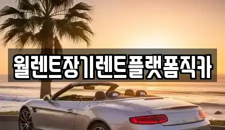 경기 남양주시 와부읍 장기렌트카 전문 월렌트장기렌트플랫폼직카