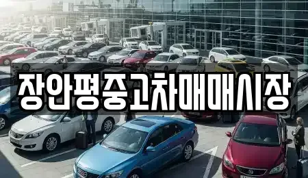 경기 남양주시 와부읍 중고차 전문 장안평중고차매매시장