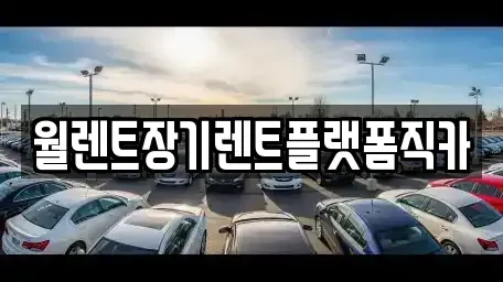 경기 동두천시 송내동 장기렌트카 전문 월렌트장기렌트플랫폼직카