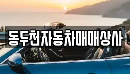 경기 동두천시 송내동 중고차매매 전문 동두천자동차매매상사
