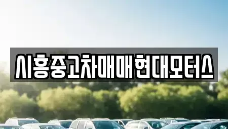 경기 시흥시 목감동 중고차매매 전문 시흥중고차매매현대모터스