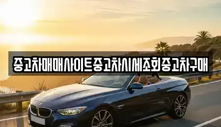 경기 시흥시 목감동 중고차매매 전문 중고차매매사이트중고차시세조회중고차구매