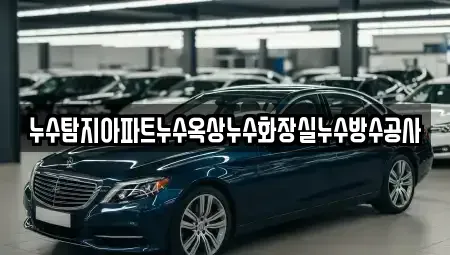 경기 시흥시 하상동 중고차매입 전문 누수탐지아파트누수옥상누수화장실누수방수공사
