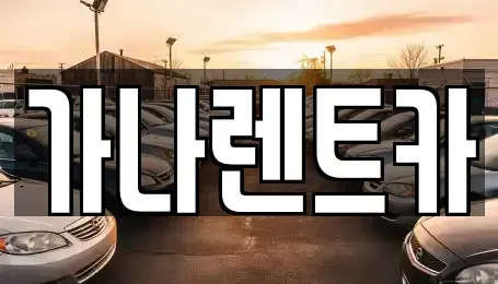 경기 안성시 낙원동 렌트카 전문 가나렌트카