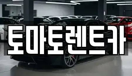경기 안성시 낙원동 렌트카 전문 토마토렌트카