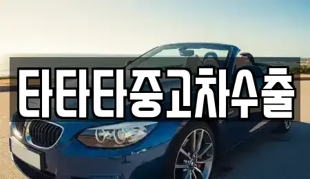 경기 안성시 낙원동 중고차 전문 타타타중고차수출