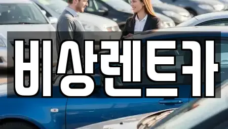 경기 안성시 대덕면 렌트카 전문 비상렌트카